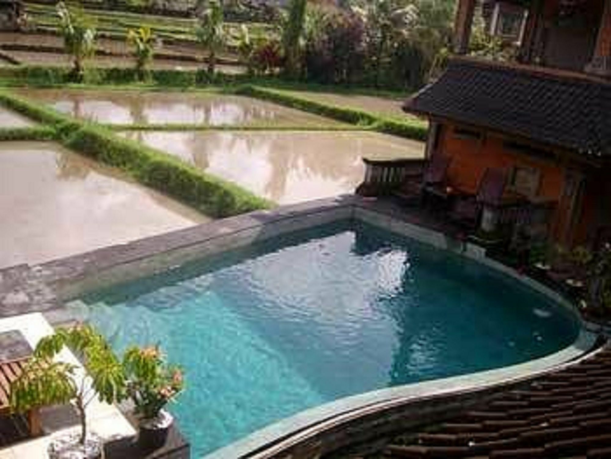 Ala'S Green Lagoon Ubud  Exterior photo